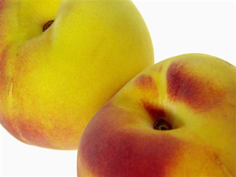About the Hale Haven Peach Tree