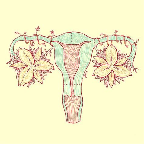 pretty uterus | Uterus art, Anatomy art, Feminist art