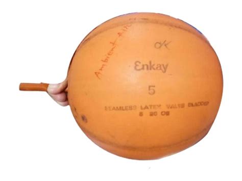 gas bladder  piece rubber bladder  ahmedabad id