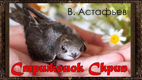 Стрижонок Скрип. В. П. Астафьев (Полная версия) Аудиокнига с картинками ...