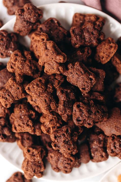 Homemade Teddy Grahams (vegan + gluten-free) | Feasting on Fruit