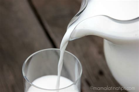 leche mamalatinatips - Mama Latina Tips