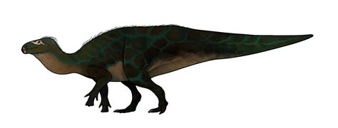 Sellacoxa Pictures & Facts - The Dinosaur Database