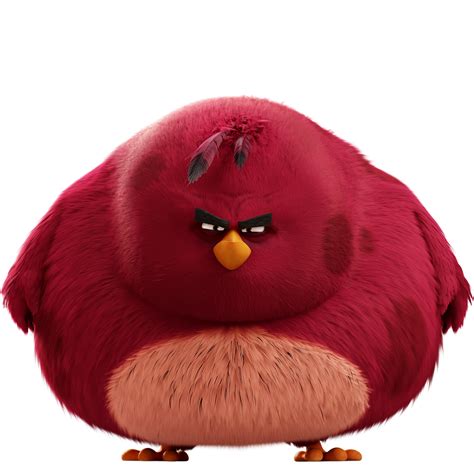 terence angry birds