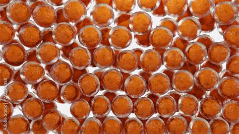 Fat cells, adipocyte and lipocyte, cholesterol in a cells, White fat ...