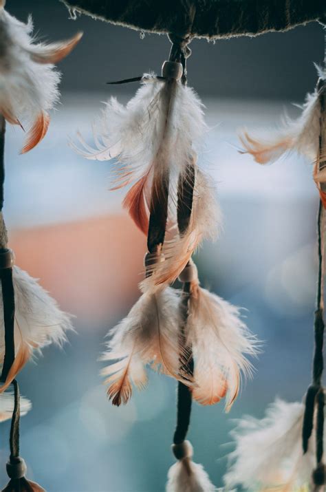 Unlocking the Secrets of Tribal ODR Warrants: A Comprehensive Guide 8