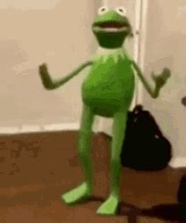 kermit  frog yay meme gif  yay meme gifdbcom