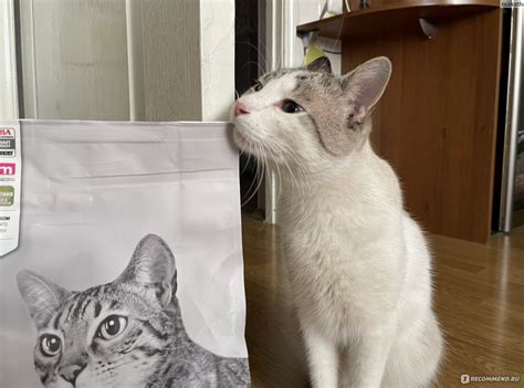 Purina Pro plan Сухой корм Для кастрированных кошек с кроликом и ...