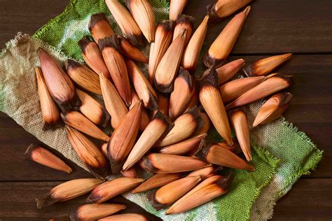 19 Facts About Pine Trees: Importance of Evergreen Conifers - Facts.net