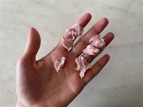 Deli Meat For Baby at Alica Martel blog