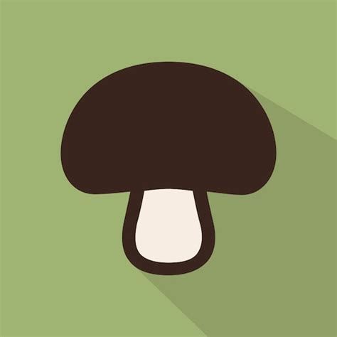 Опознавание грибов по фото - Aplicaciones en Google Play