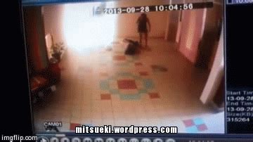 hdb | Tag | PrimoGIF