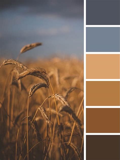 Color palette in 2024 | Color palette interior design, Blue colour ...