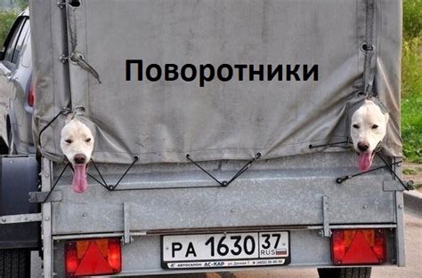 Картинки с надписями. Поворотники.