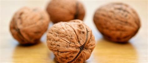 walnut benefits  side effects walnuts nutrition facts