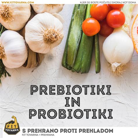 PROBIOTIKI IN PREBIOTIKI | Fit Tovarna