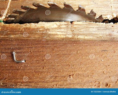 Wood-cutter Stock Photo | CartoonDealer.com #3560142