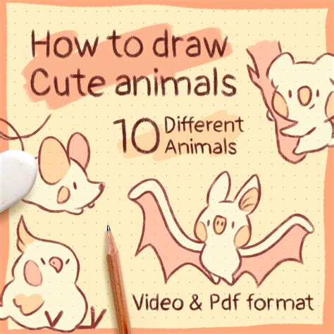 cute animals  draw step  step