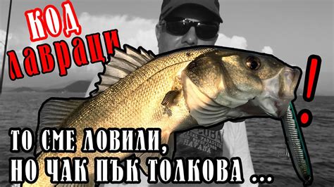 То сме ловили лавраци, но ЧАК ПЪК ТОЛКОВА НИКОГА НЕ Е БИЛО! \ Код ...
