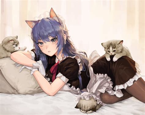 Cat Maid Wallpapers - Wallpaper Cave