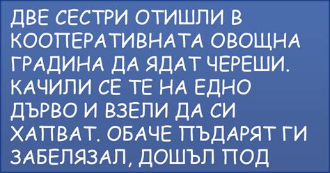 [ЗАБАВНИ ВИЦОВЕ] ~ Две сестри