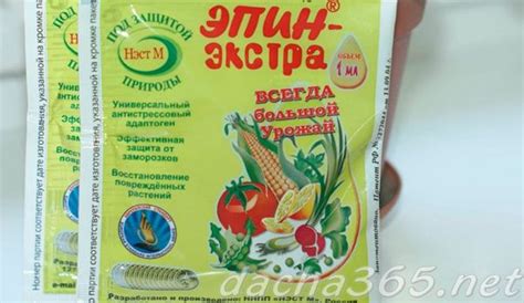 Эпин: инструкция по применению для рассады и комнатных растений ...