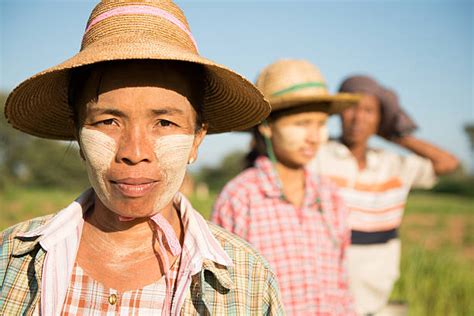 5,900+ Burmese People Stock Photos, Pictures & Royalty-Free Images - iStock