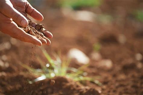 Soil4Life: Sustainable Soil Management - Rewilding Academy