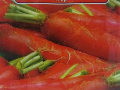 ряпа Червена дълга | Агро препарати - семена, луковици, тревни смеси ...