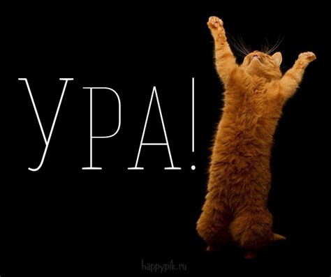 Ура! 80 радостных картинок