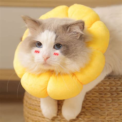 KIHOUT Pet Anti-licking And Biting Collar Flower Ring Pet Dog Neck Ring