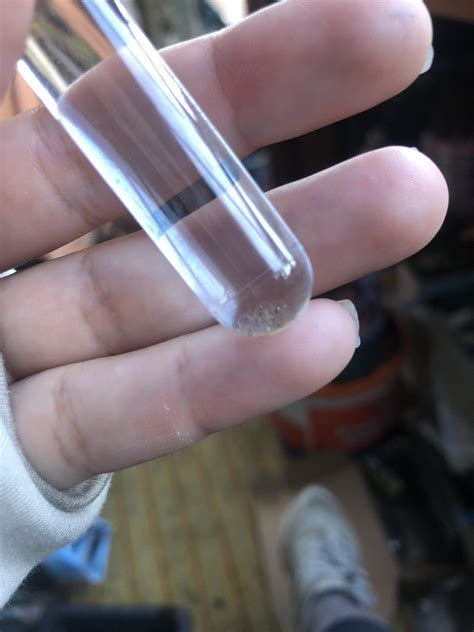 Red Cap eggs have arrived! : r/medaka