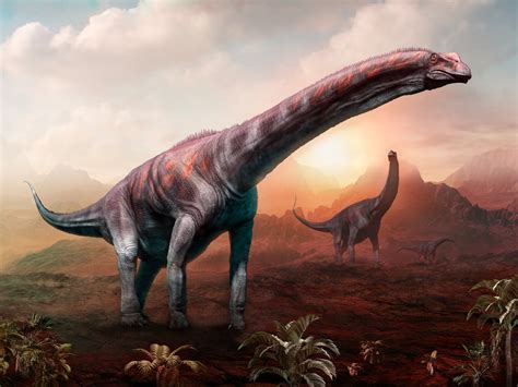 dinosaur fossils   argentina  belong  largest creature
