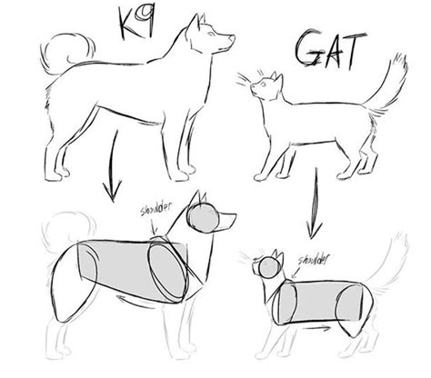 пес референс – Пошук Google | Canine drawing, Animal drawings, Animal ...