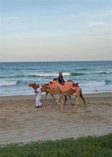 Camel+Toe+Bikinis Photos, Download The BEST Free Camel+Toe+Bikinis