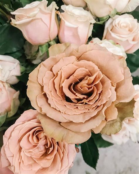 Gallery — Mint & Magnolia