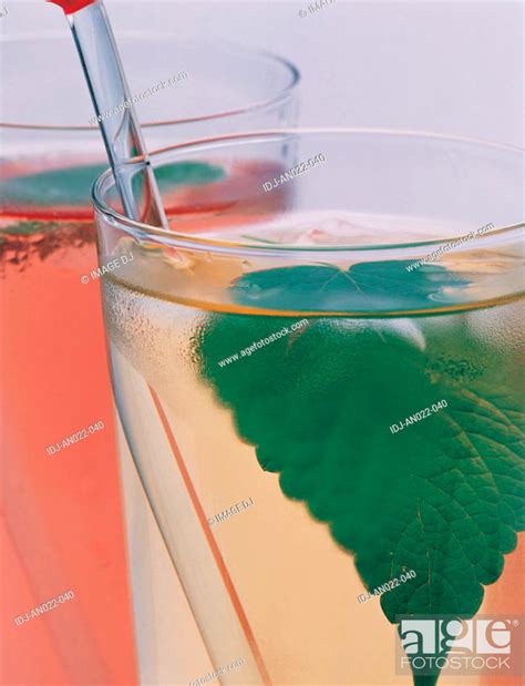 Herb Tea, Stock Photo, Picture And Royalty Free Image. Pic. IDJ-AN022 ...