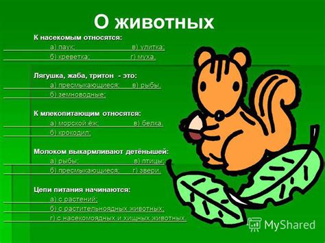 Презентация на тему: "К насекомым относятся: К насекомым относятся: а ...