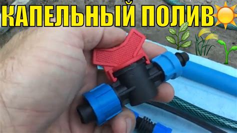 Капельный полив. Что нужно и как собрать. - YouTube