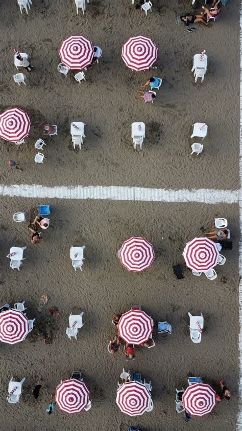 Ebony+Back+Shots Photos, Download The BEST Free Ebony+Back+Shots Stock