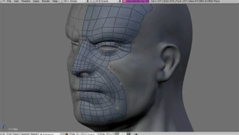 Blender Retopo tool: modeling a low-poly head on the hi-poly on Vimeo