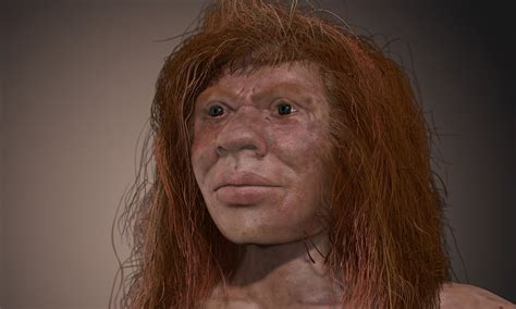 Denisovan Reconstruction