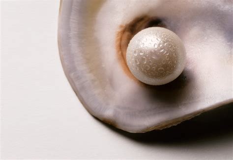 pearl properties  characteristics diamond buzz