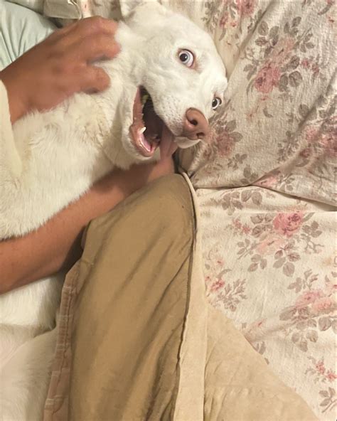 EtherealLoveBug - EtherealLoveBug added a new photo.