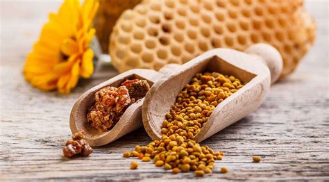 la propolis gaec du tournesol