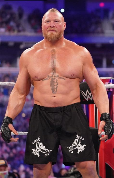 Brock lesnar – Artofit