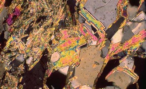 thin section questionnaire flashcards quizlet