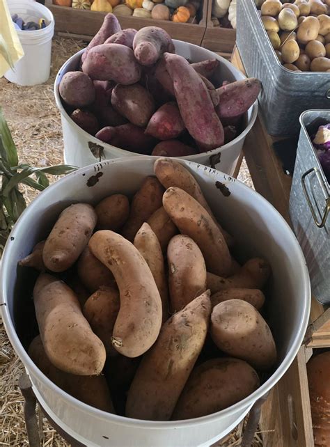The Las Vegas Farm added a new photo. - The Las Vegas Farm