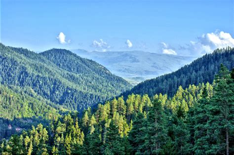 INFO-CAM | Галерея : Абастумани. Грузия. Georgia. Abastumani