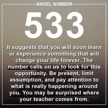 Angel Number 533 Meanings – Why Are You Seeing 533?